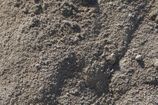 cement mix