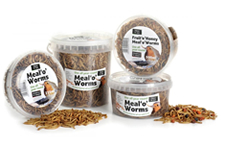 sharples n grant bird food